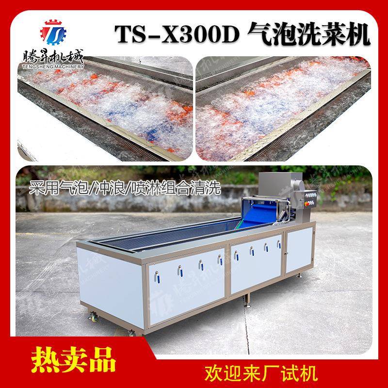 全自动水果清洗机果蔬气泡洗菜机草莓涡流喷淋气泡清洗机制造厂家