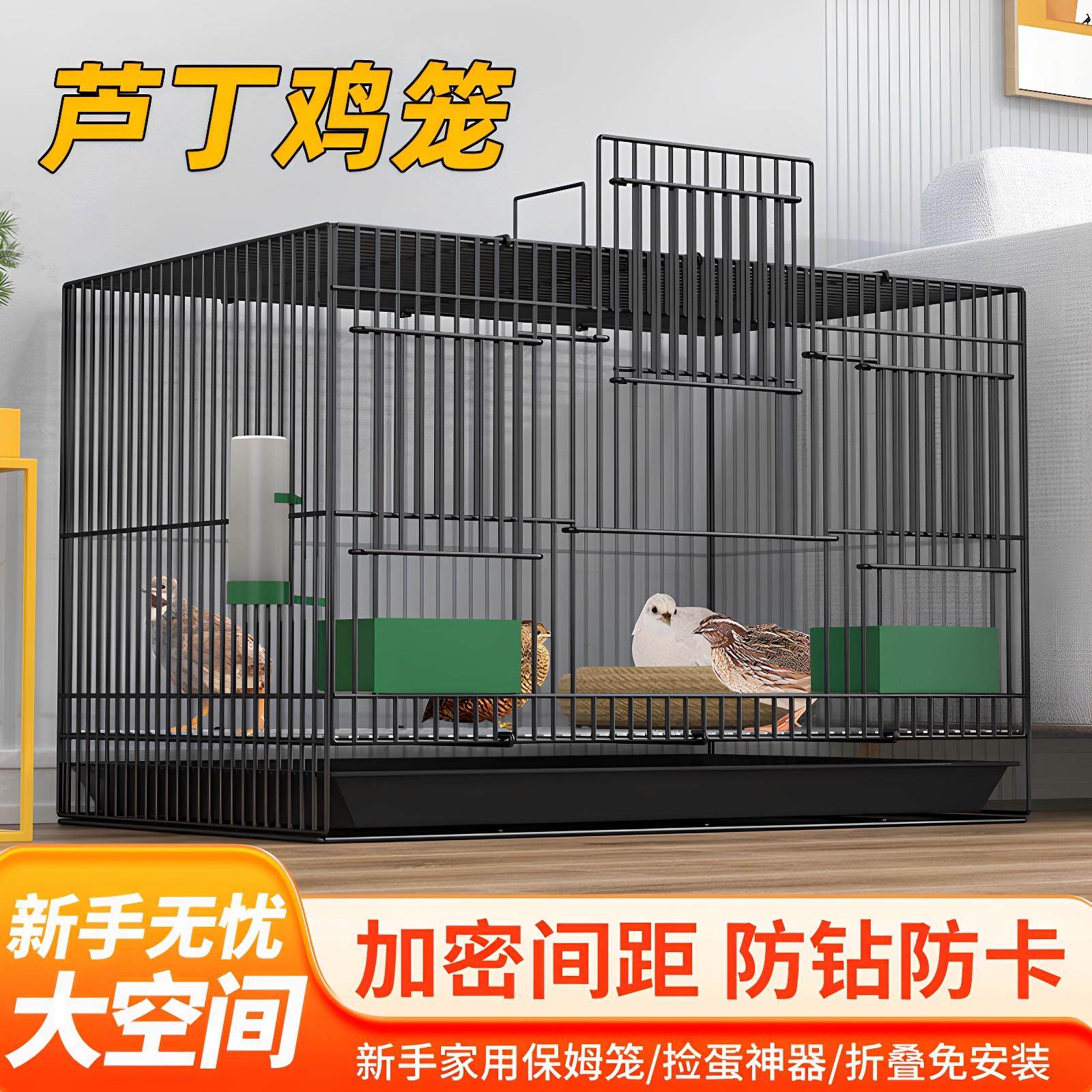 芦丁鸡饲养笼家养宠物鸡养鸡笼全屋别墅笼特大号加宽加高家用