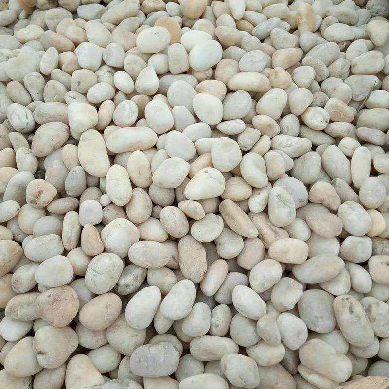 白色抛光鹅卵石 天然雨花石头 铺路水池垫底鱼缸造景雨花石子