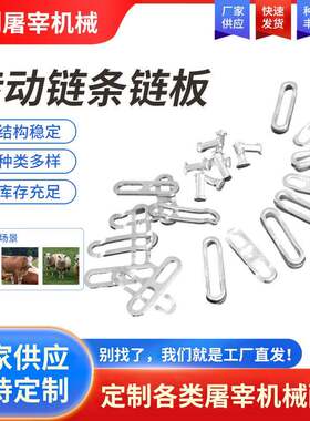 屠宰用流水配件传动链条链板猪牛羊屠宰场肉联厂用配件厂家现货