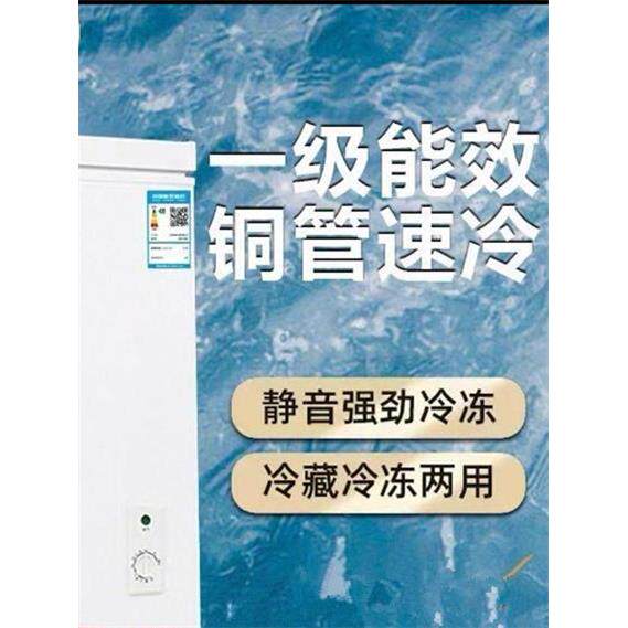 一级节能小型冰柜家用全冷冻冷藏两用冷柜迷你减霜商用大容量冷柜
