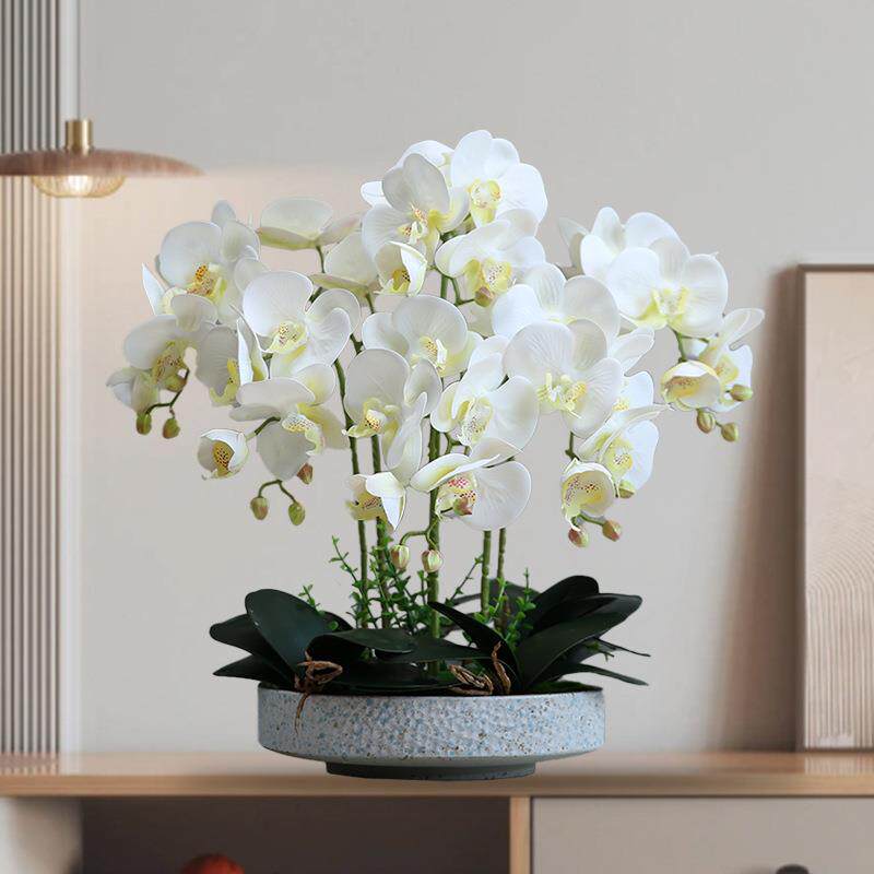 手感2023011蝴蝶兰假档花真花室内花艺摆设客仿厅轻奢高假花景装