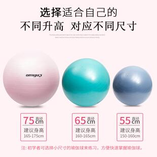 户外露营玩具儿童充气大球宝宝公园室外亲子互动游戏道具运动