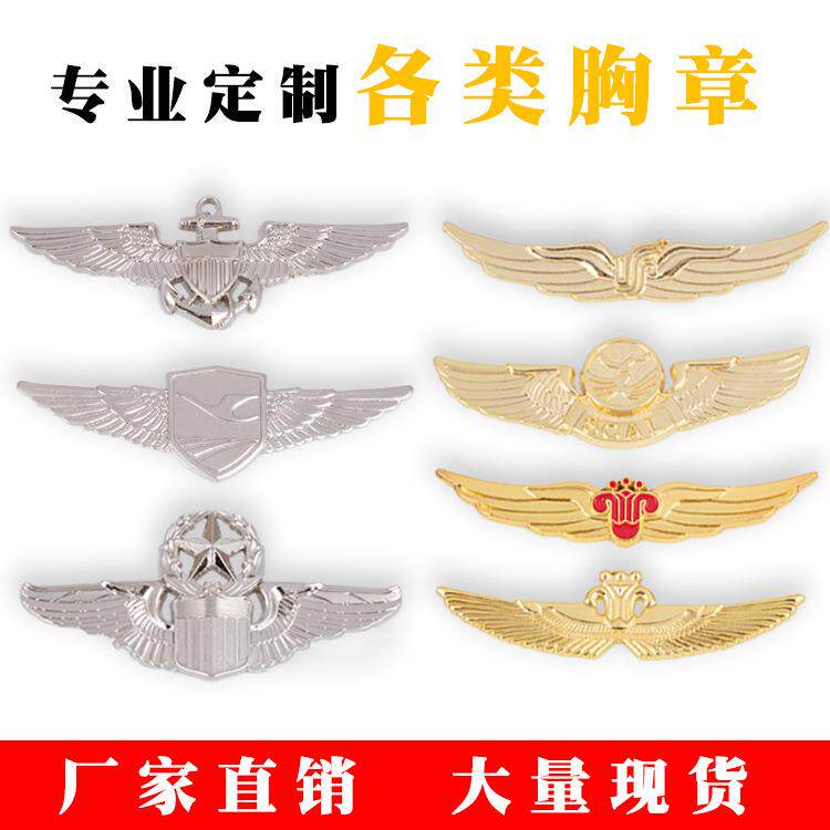海航南航东航国航厦航飞行员航空胸章帽徽 飞行员空姐航空胸章