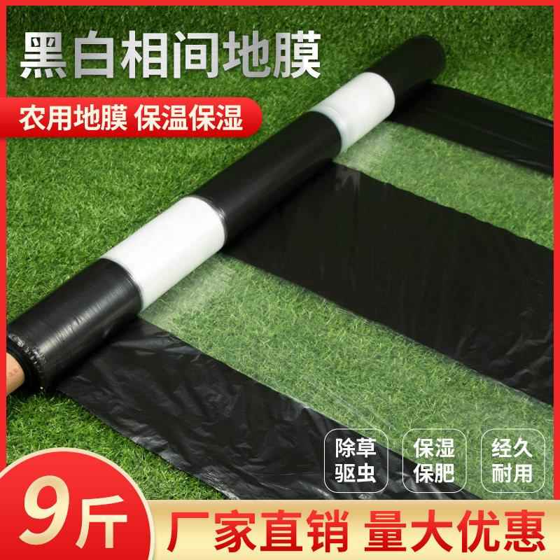 地膜农用白加黑色大棚塑料薄膜银灰双色反光防草pe多功能果园蔬菜