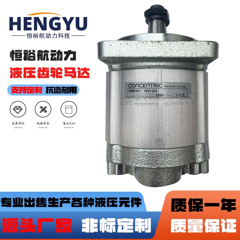 摊铺机振捣夯锤马达WM09A1 1821103工程液压机械