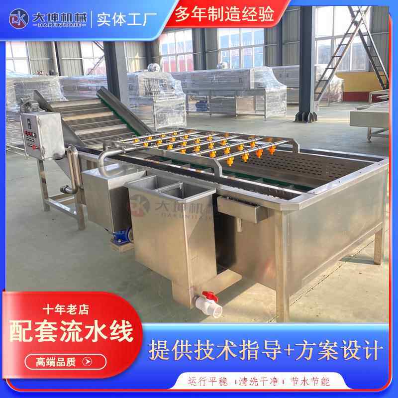 连续式果泡喷WWM淋清鼓洗水机 桑臭氧杀菌清洗设备 李子葚清洗生