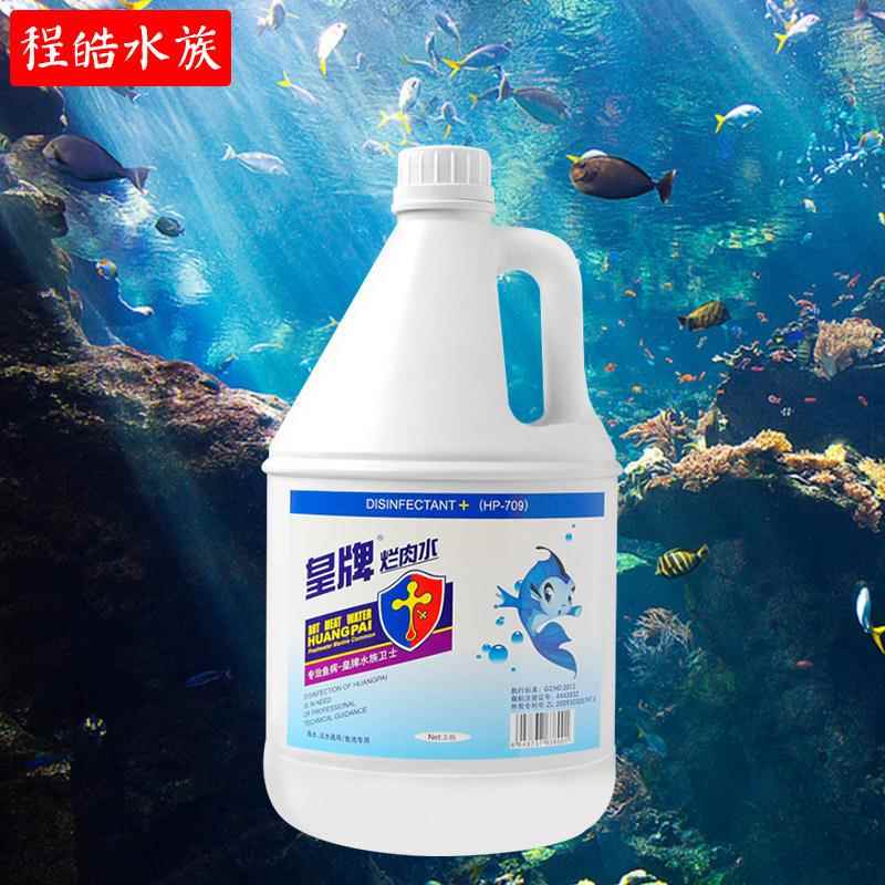 皇牌杀菌水净水剂 烂肉水3.8L水族观赏鱼调理剂