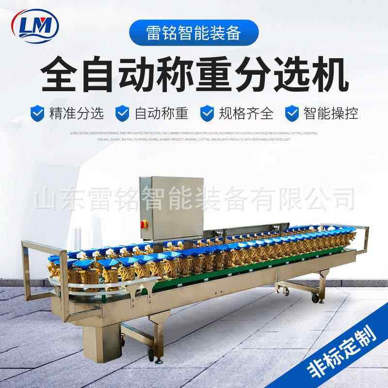 山竹番石榴克重分拣机果蔬葡萄柚分选加工设备洋葱芋头称重分级机