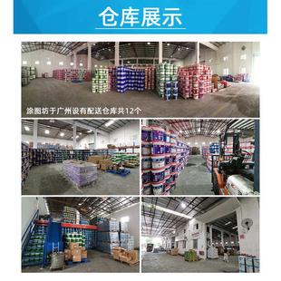 长颈鹿漆臻天然无机矿物油漆涂料超耐候防火防霉内墙外墙涂料