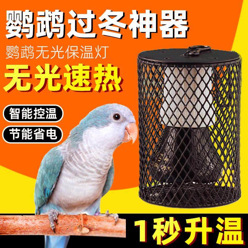 鹦鹉保温灯鹦鹉玄凤专用鸟笼保暖取暖器陶瓷防烫加热宠物过冬神器,宠物/宠物食品及用品,鸟禽其他,淘宝优惠券,粉丝福利购,淘宝优惠卷