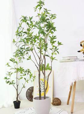 仿植真绿植室内盆栽仿生绿假客木厅落地摆件仿真马醉MZ09景观