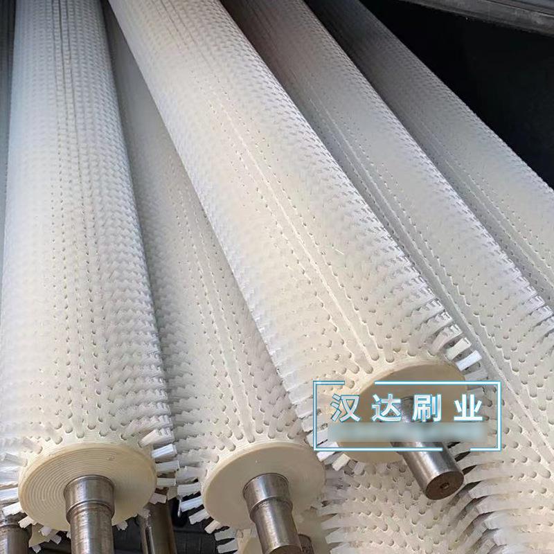 清机毛刷辊洗红枣菠萝刷芒业果MGU荔枝清洗辊工梯形螺旋尼龙毛辊