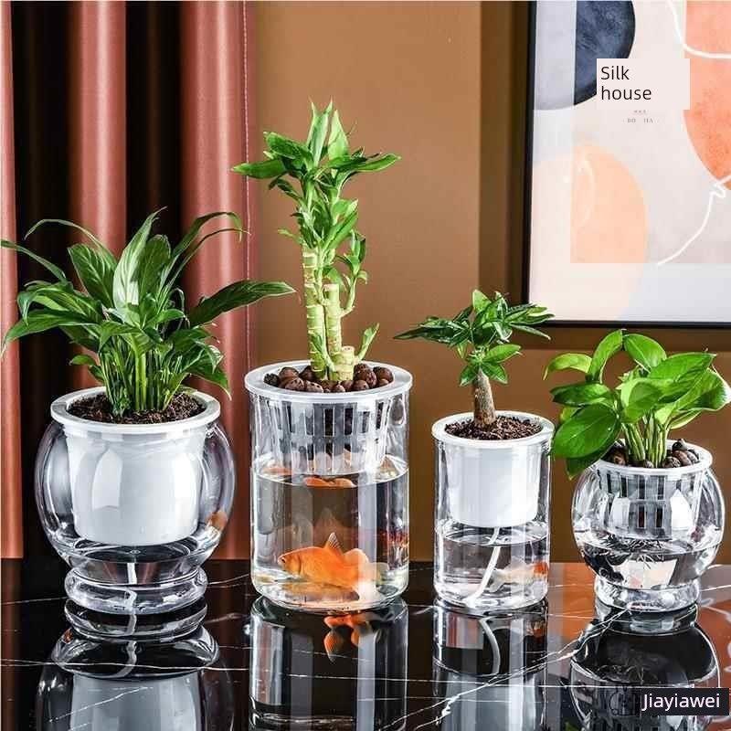 水培植物瓶透明直圆柱形花瓶简单金葛花盆白棕榈水培罐容器