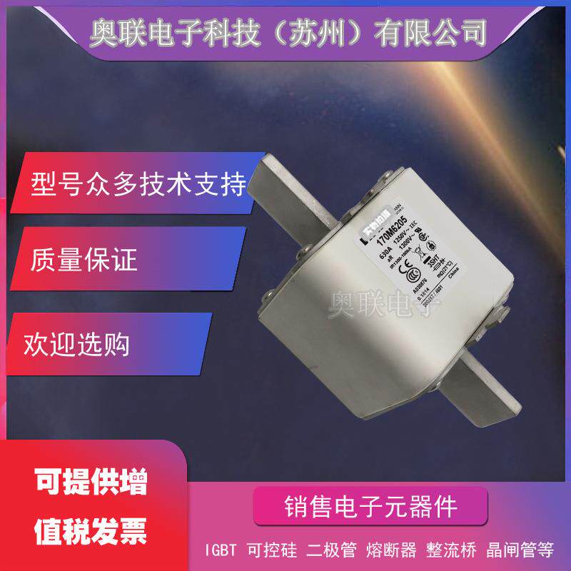 170M3965 /3966/3967/3968/3969/3970巴斯曼熔断器保险丝