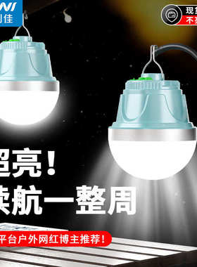 led充电灯泡户外便携露营夜市摆摊灯usb充电应急灯停电照明球泡