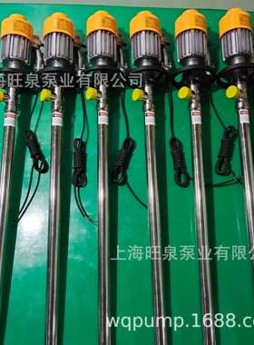 旺泉HD-EX2-V+SS316L-1000不锈钢防爆油桶泵、防爆电动抽液泵