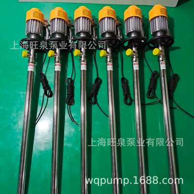 旺泉HD-EX2-V+SS316L-1000不锈钢防爆油桶泵、防爆电动抽液泵