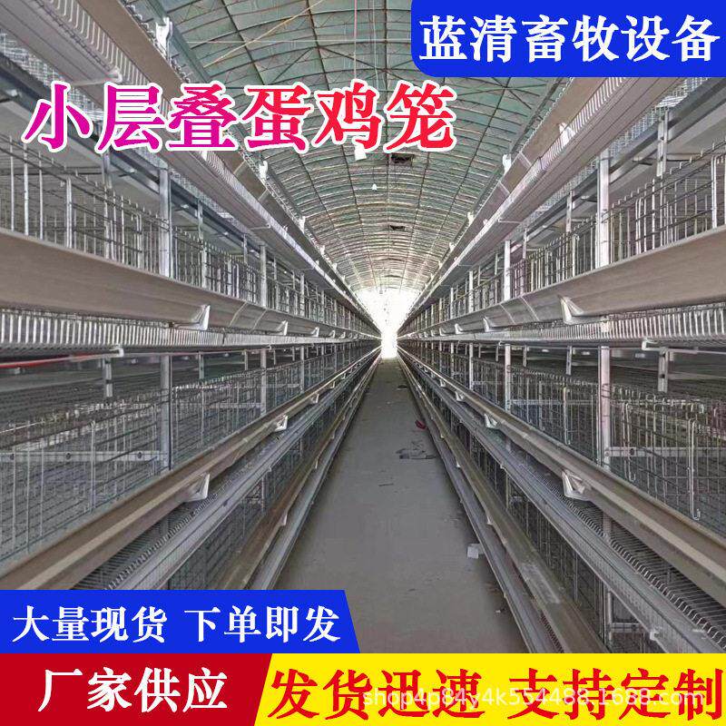 小层叠蛋鸡笼自动化现化养殖设备自动检蛋机立体式鸡舍养殖设备