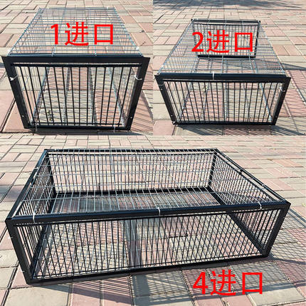 天落笼只进不出鸽子笼加密活络门鸽笼自动门撞门户外房顶鸽子笼子
