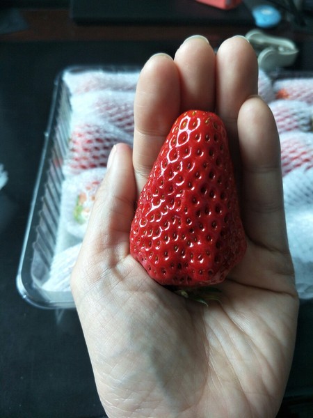 播芮 丹东99草莓 新鲜现摘红颜奶油草莓 3斤盒装 天猫优惠券折后￥88顺丰空运包邮（￥118-30）