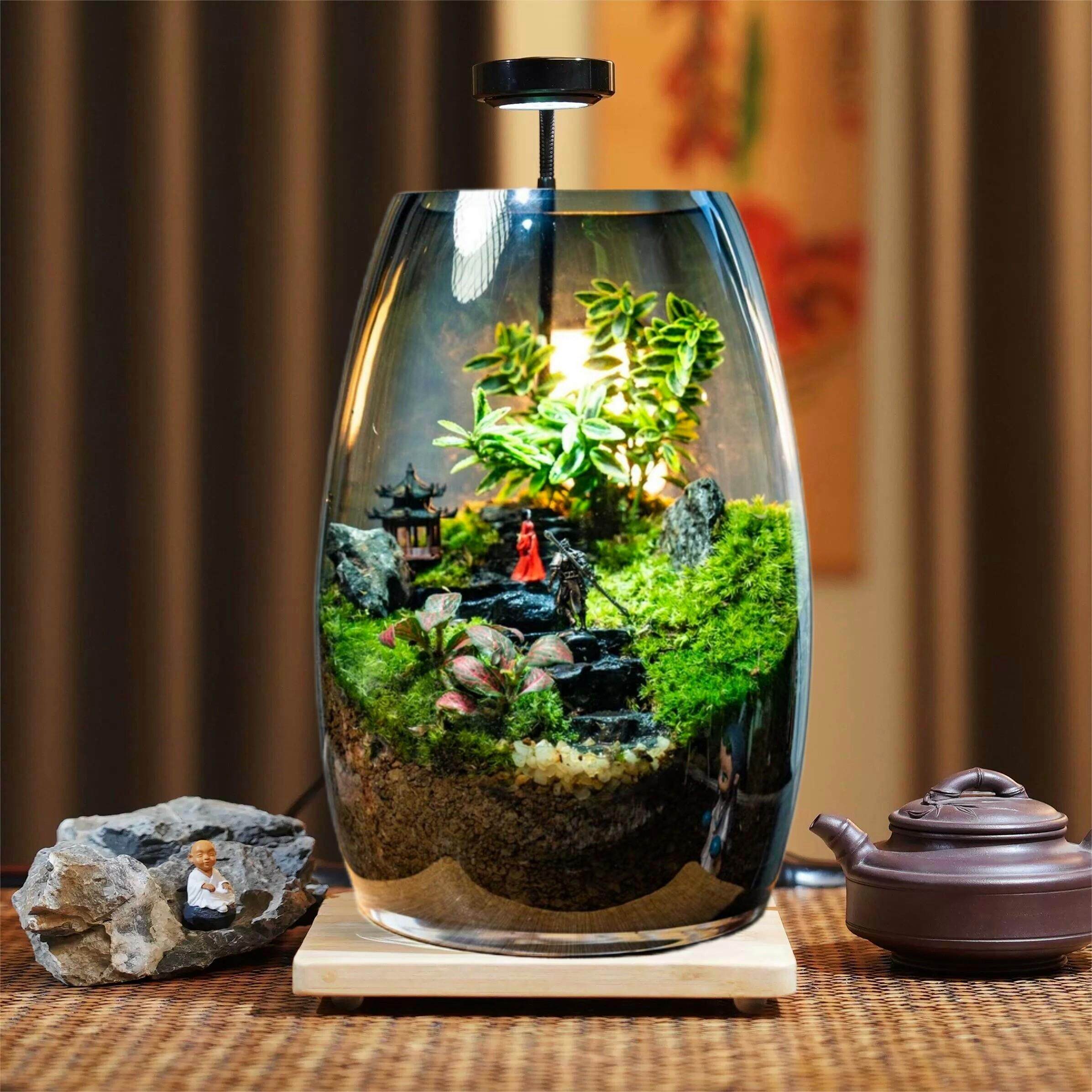 苔藓微景观生态缸造景植物生态瓶桌面摆件养鱼小型森林全套雨林缸