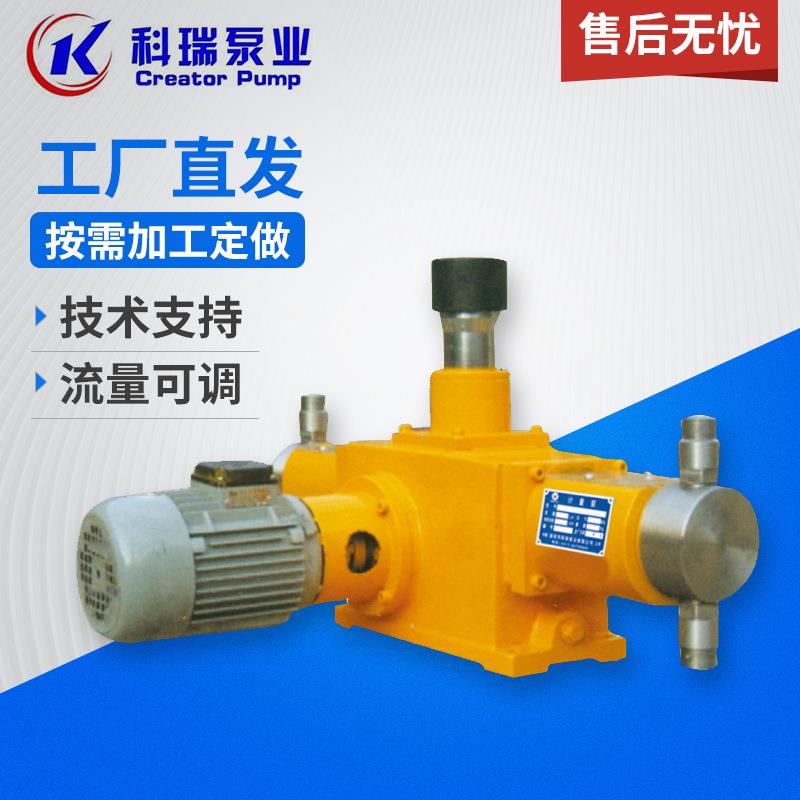 2J-X型柱塞计量泵加药计量泵大流量计量泵