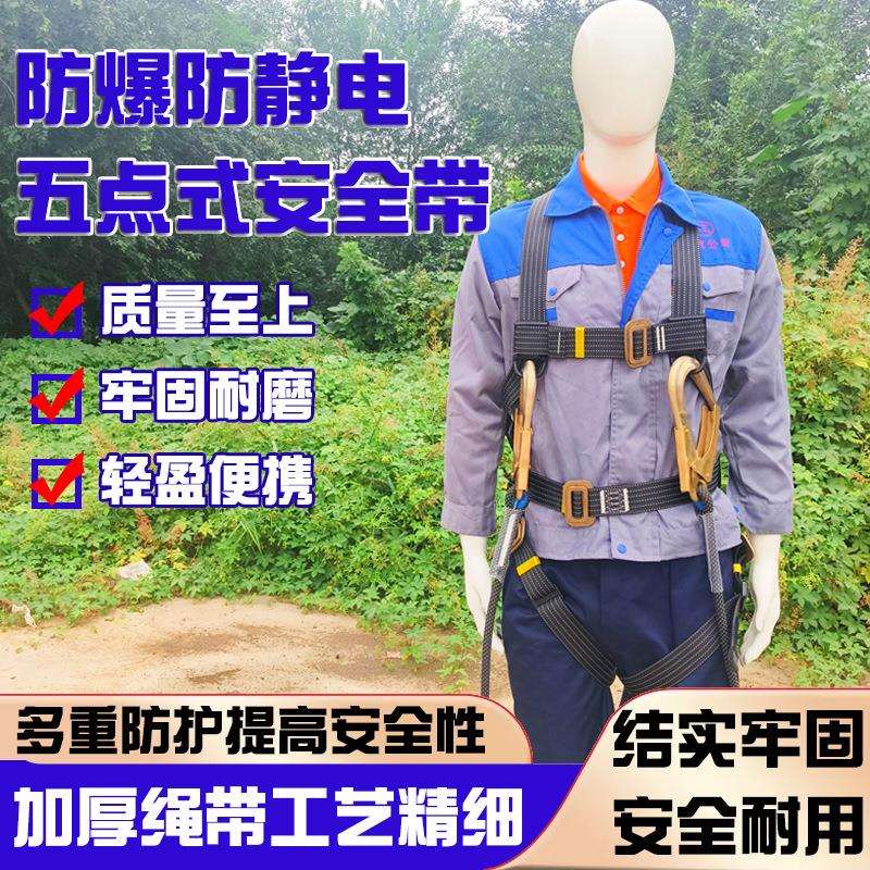 防爆五点式安全带防静电保险带安全绳户外施工安全绳双挂钩缓冲包