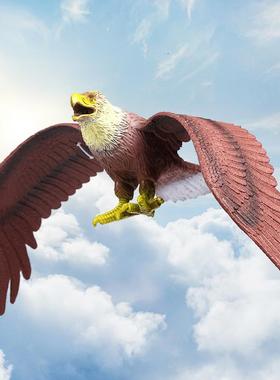 装饰摆件 大号仿真老鹰模型塑胶仿真动物阳台果园驱鸟吓鸟神器玩