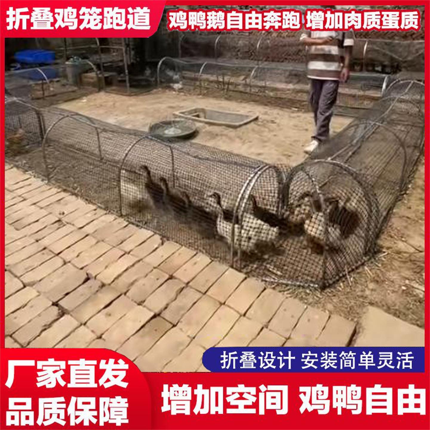 跑道鸡笼防腐散养加密笼子溜达鸡可折叠多功能走地养鸡笼子养殖