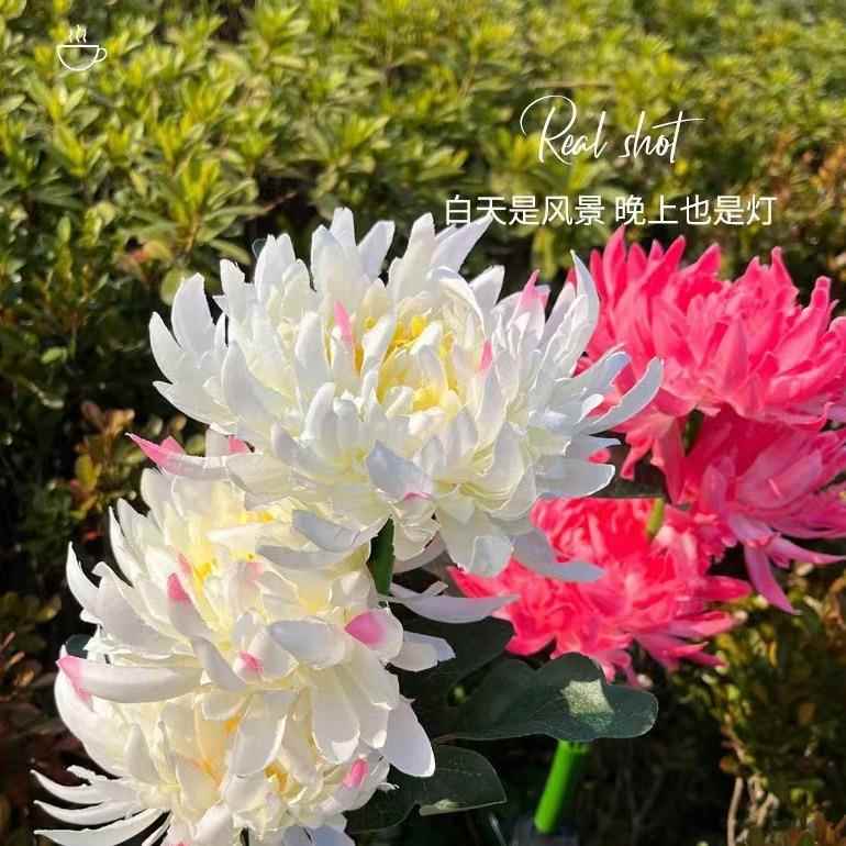 RH-542太阳能花led仿真花灯户外防雨地插坪灯灯庭院景观草装饰花