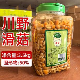 川野滑菇3.5kg清水食用菌新鲜滑子菇滑子蘑山珍菌珍珠菇桶装火锅