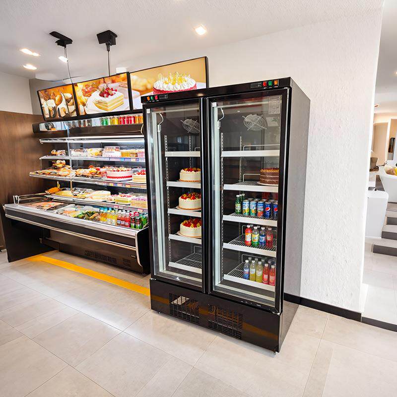肯德供应饮料冷藏展示柜网红酒水柜啤酒柜冰箱冰柜商用冷柜双门