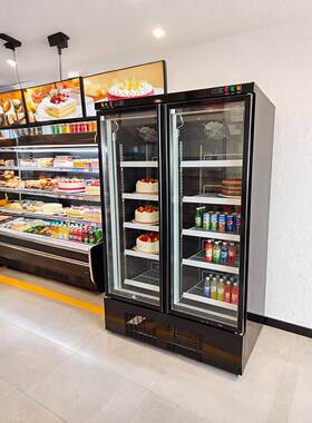 肯德供应饮料冷藏展示柜网红酒水柜啤酒柜冰箱冰柜商用冷柜双门