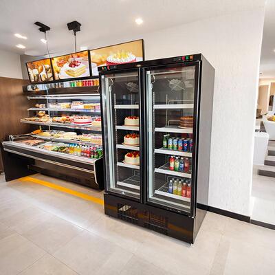 肯德供应饮料冷藏展示柜网红酒水柜啤酒柜冰箱冰柜商用冷柜双门