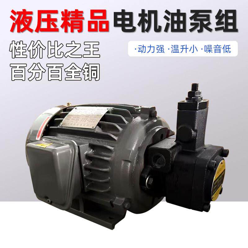 液压油泵电机组VP20+0.75KW1.5液压帮浦总成内轴电机液压站配件系