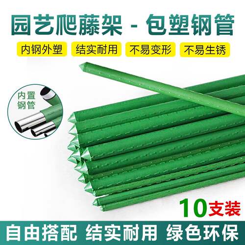 爬藤支撑杆架葡萄黄瓜豆角种菜支架西红柿户外花卉植物瓜棚搭架杆