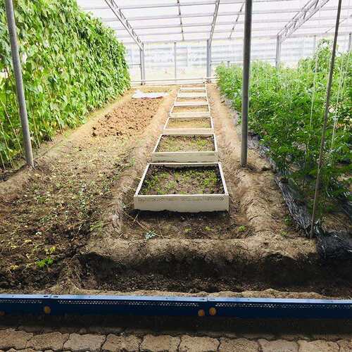 庭院种植框蔬菜花卉种植箱楼顶阳台种植盆移动花箱无底育苗盆