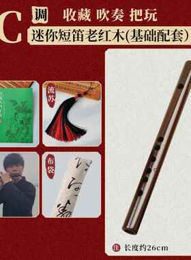 正品吟 短笛迷你小膜笛子26CM黑檀无孔笛楚随身小乐子器古风成人