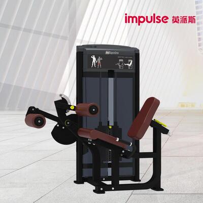 英派斯坐式肌肉屈伸训练器IF9306