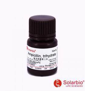 A7490氨苄青霉素三水Ampicillin7177-48-2科研用
