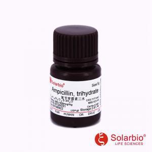 A7490氨苄青霉素三水Ampicillin7177-48-2科研用