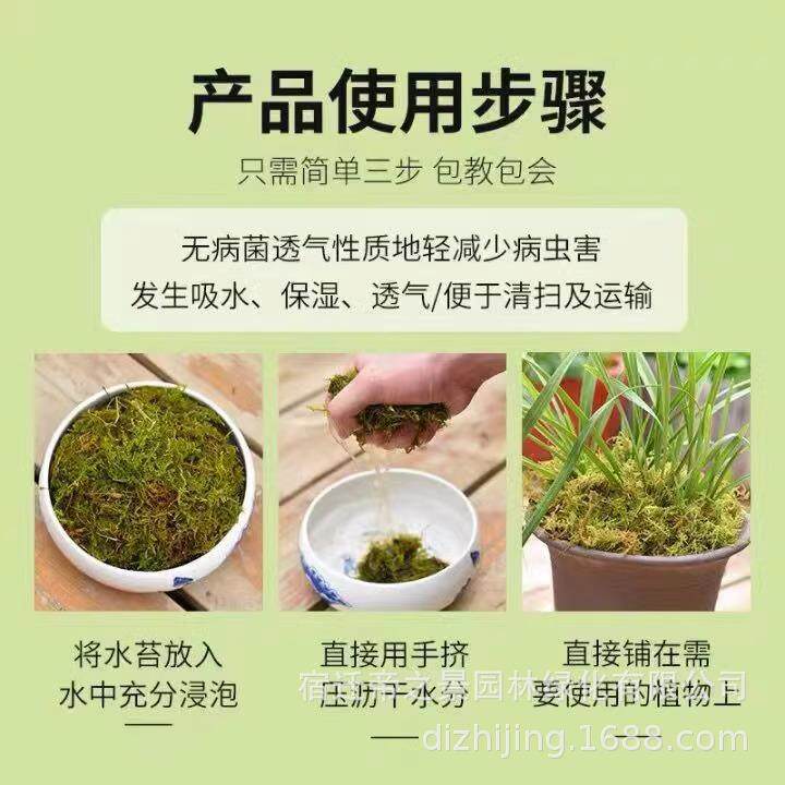 优质天然干苔藓兰花蝴蝶兰种植铁皮石斛花盆专用营养土胡蝴蝶兰花