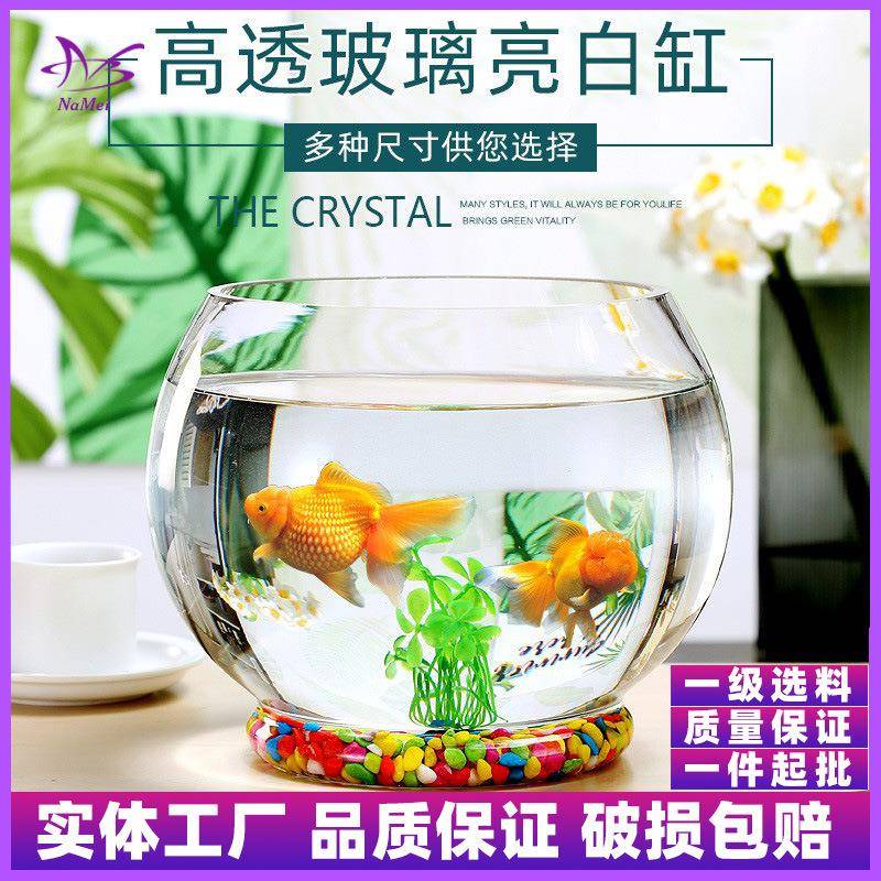 创加带厚意脚透明玻璃圆形金鱼缸客厅小型鱼缸家用桌面水培乌龟缸