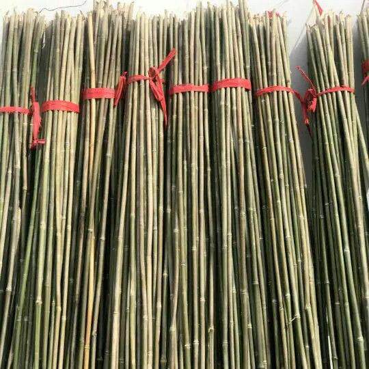 小竹竿蔬菜爬藤竹杆架种菜园搭架豆角架篱笆栅栏彩旗杆细竹子包邮