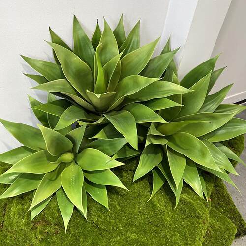 仿真龙舌兰假绿植北欧热带沙漠植物龙舌兰多肉植物造景装饰大芦荟
