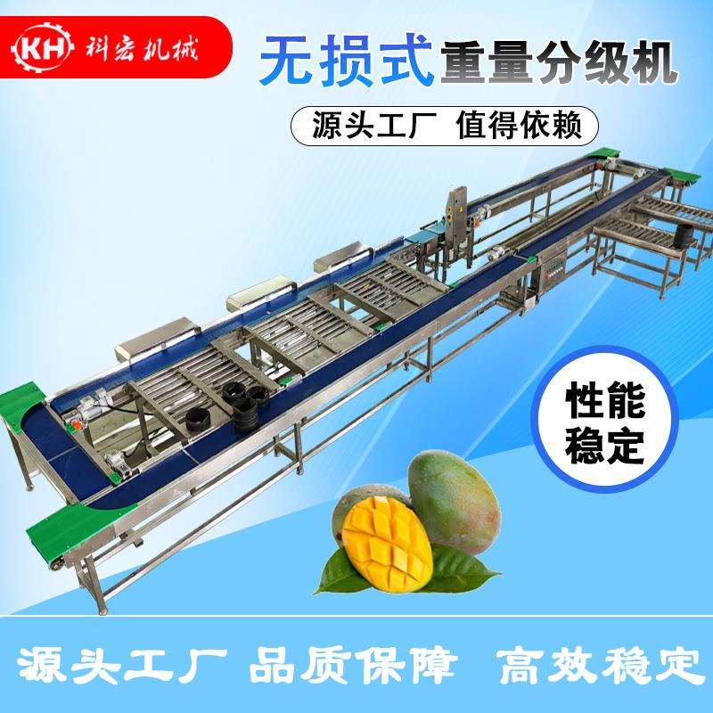 科宏机械无损式重量分选机智能分拣 凯特芒西瓜甜瓜重量分选