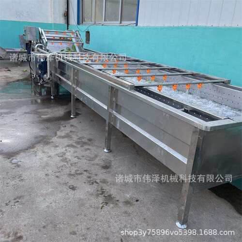 商用蔬菜水果气泡清洗机荔枝龙眼清洗风干流水线豆角清洗设备