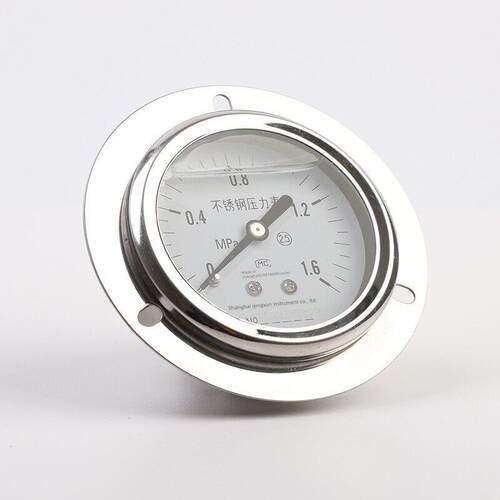 全不锈钢耐震压力表YN60BFZT轴向带边耐震压力表0-0.6/1/1.6Mpa