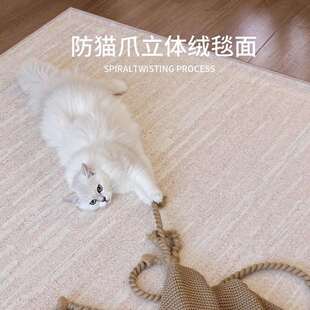 无胶防水现代简约轻奢防污地毯客厅免洗可擦高级感沙发地毯卧室